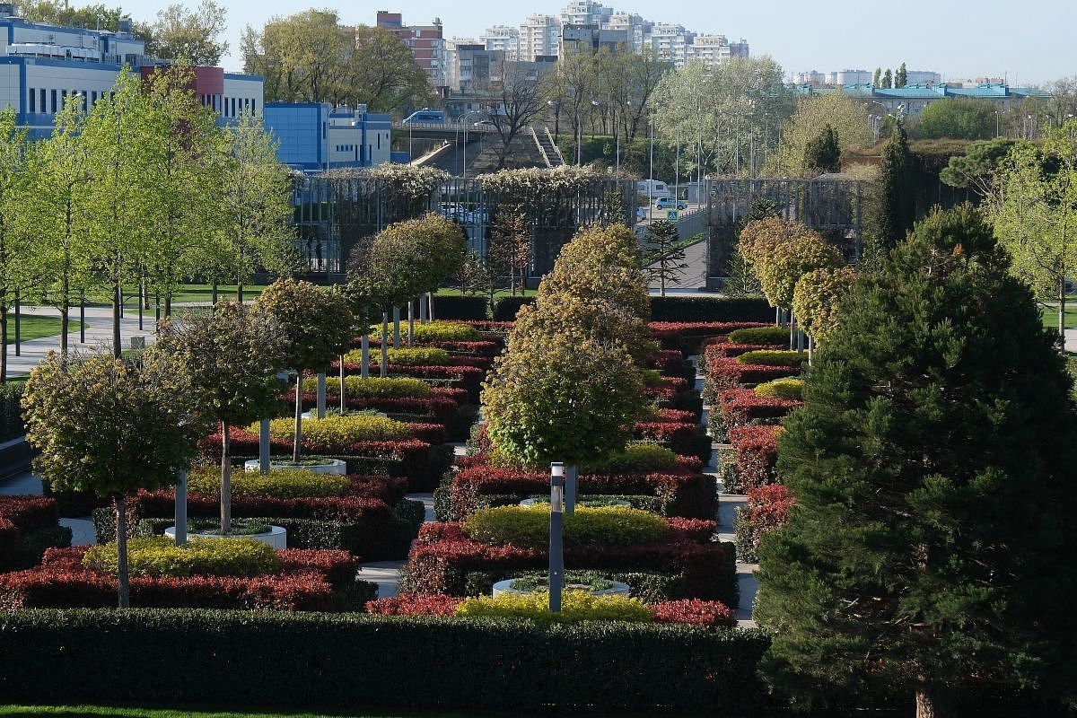 Подготовка к Новому году. Парк Галицкого начали украшать гирляндами