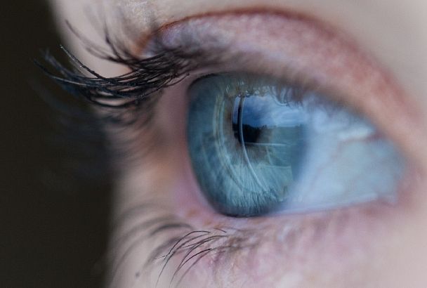 Зоркий глаз: врачи назвали продукты, полезные для зрения