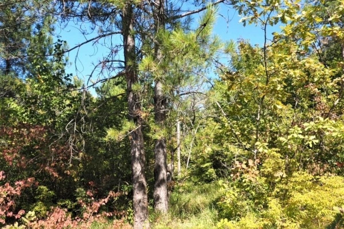 В Краснодарском крае создали девять особо охраняемых природных территорий регионального значения