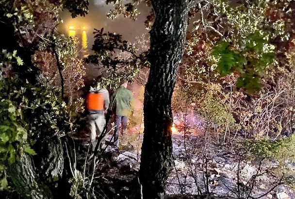 Лесные пожары на территории Новороссийска и Геленджика ликвидированы