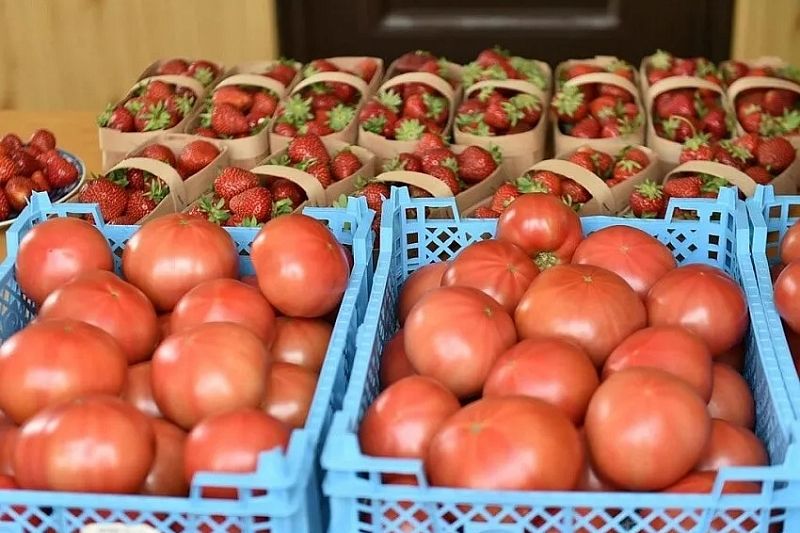 Более 680 торговых мест для фермеров предусмотрено в Краснодарском крае