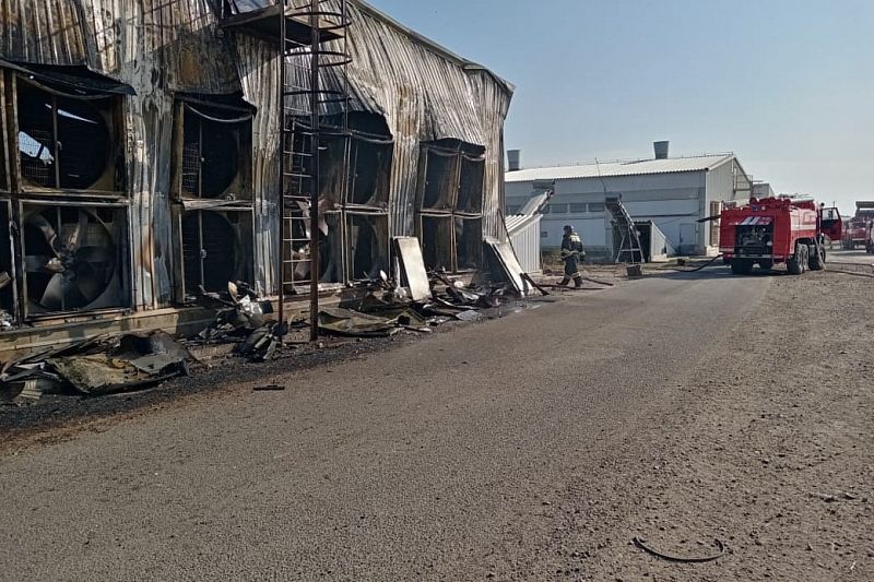 Крупный пожар на птицефабрике полностью потушен