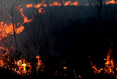 Лесной пожар тушат неподалеку от горного села Гойтх в Туапсинском районе