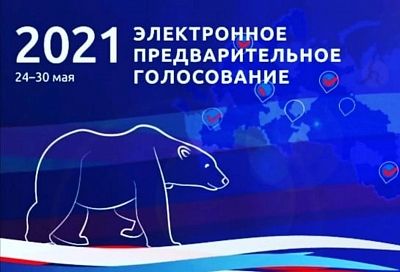 Праймериз «Единой России» стартует в ночь на 24 мая
