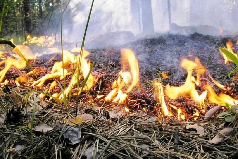 В Кавказском районе ликвидировали возгорание сухой растительности