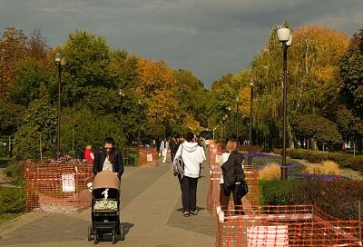 Сколько опрошенных краснодарцев выступили за трату маткапитала на образование родителей