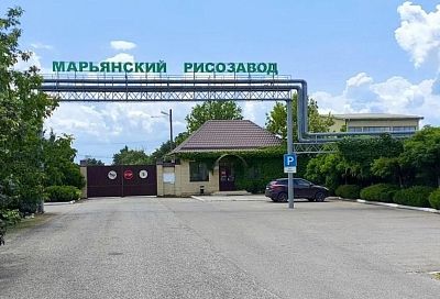Кубанский производитель рисовой крупы приступил к перенастройке процессов