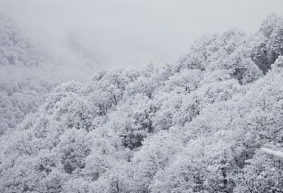Сильный снегопад обрушится на Сочи 8 марта