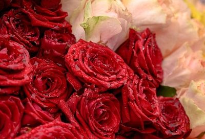 Средняя стоимость букета роз в Краснодаре составила 2 294 рубля