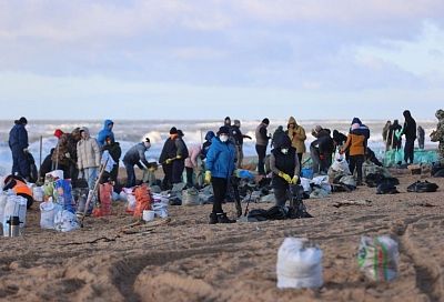 Около четырех тысяч волонтеров участвуют в очистке от мазута береговой линии в Анапе