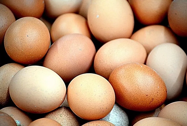 Три партии куриных яиц из Турции поступили в Россию через Новороссийск 