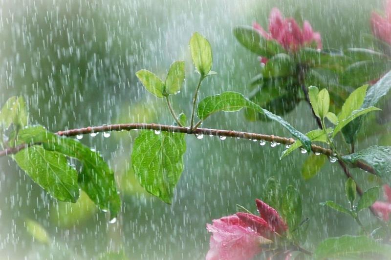 В Краснодарском крае 13 и 14 апреля ожидаются дождь с грозой и ветер