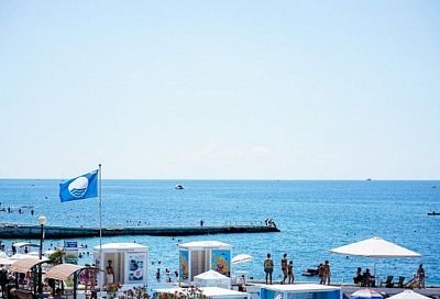 Пляжи Сочи готовятся к участию в программе международной экологической сертификации «Голубой флаг»