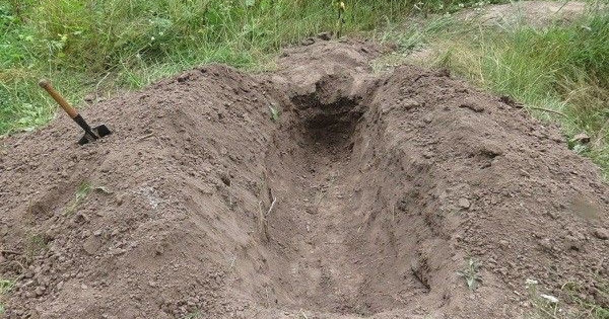 Трое "братков" из Коми заставили приятеля рыть могилу в лесу - В курсе.ру