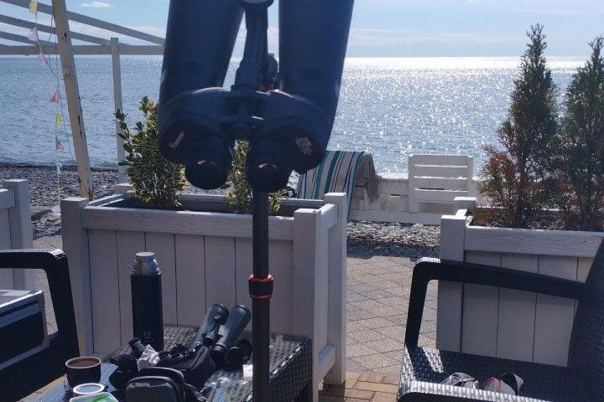 В бухте Инал в Туапсе открылась мобильная обсерватория