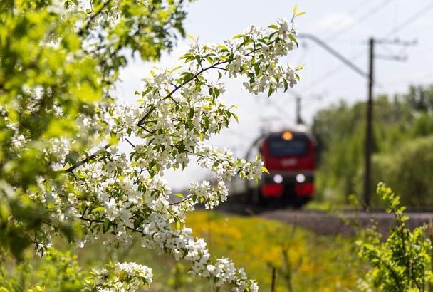 Дополнительные поезда запустят РЖД в Краснодарский край на майские праздники