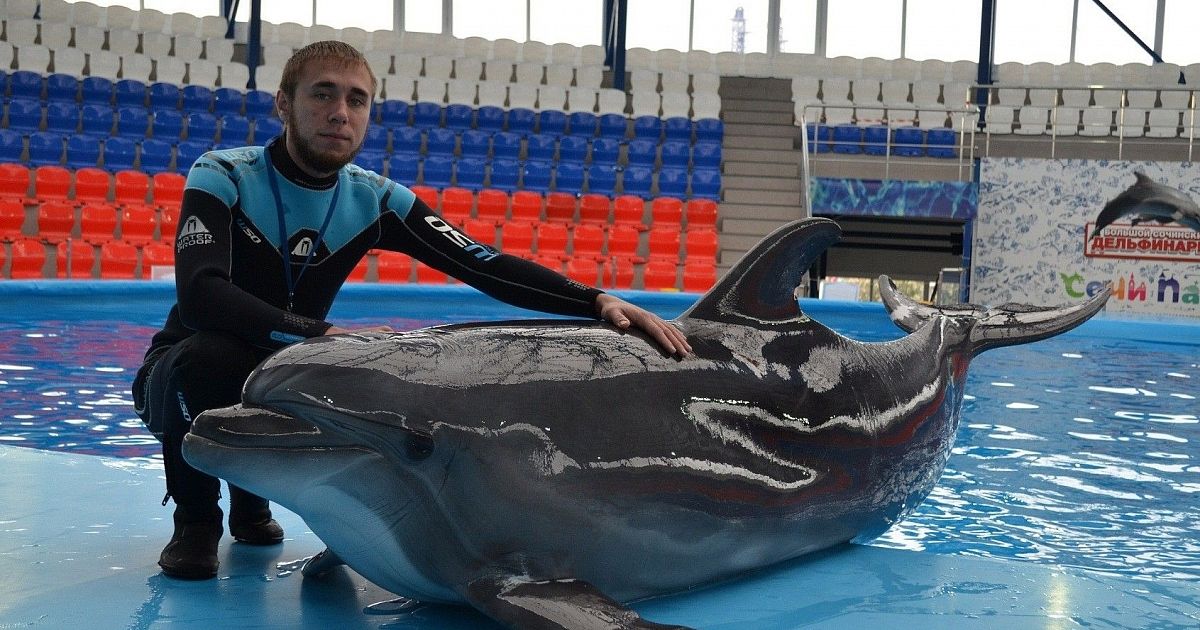 Фото дельфинарий сочи парк