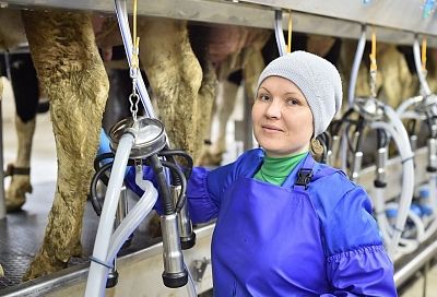 В Краснодарском крае зарегистрировано 56 перерабатывающих сельхозкооперативов