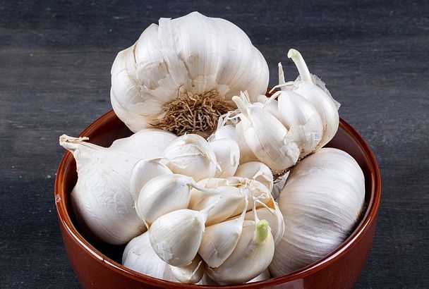 Сохраните чеснок до нового урожая: 5 шагов без гнили и усыхания от агрономов