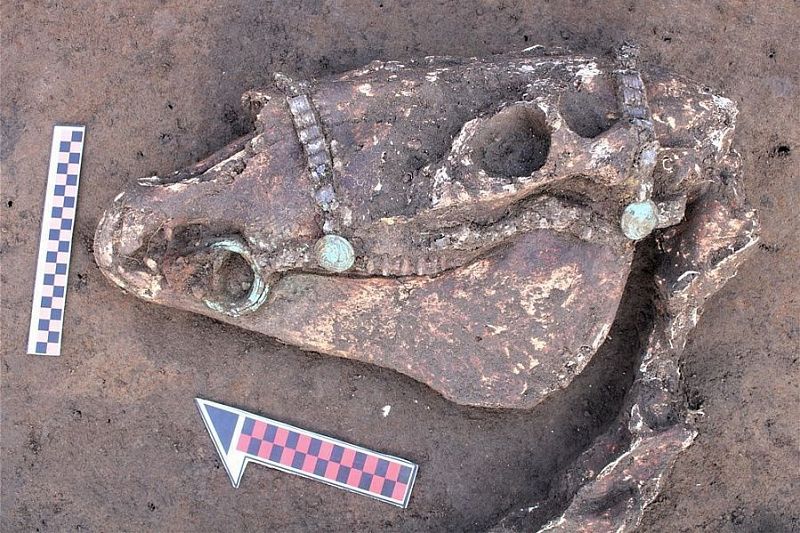 Погребальные урны XI-XII веков обнаружили при раскопках в Славянском районе