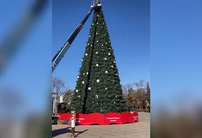 До мая не дотянули: в Анапе убирают новогоднюю елку