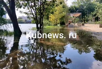 Озеро в Дмитриевском сквере Краснодара вышло из берегов