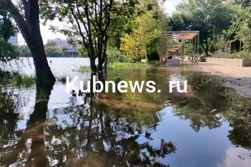 Озеро в Дмитриевском сквере Краснодара вышло из берегов