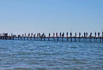 Ставрида пошла: массовая рыбалка на одном из пирсов Анапы попала на видео