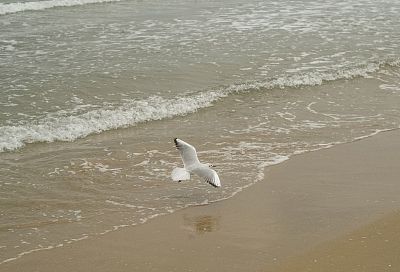 До +13 градусов успело прогреться Черное море на курортах Краснодарского края до похолодания