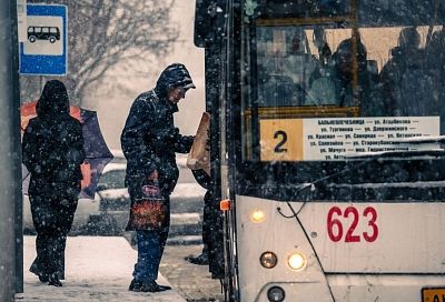 ФАС назвала перевозчиков Краснодара, незаконно повысивших цены на проезд 