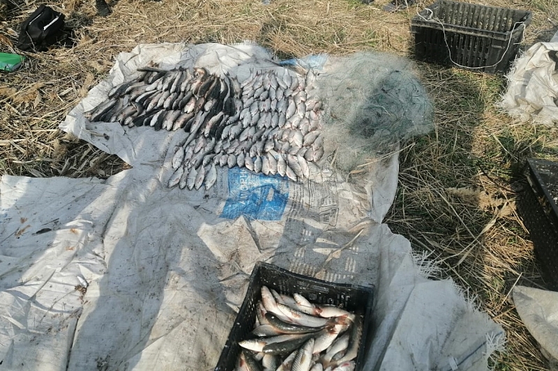 Очередной браконьер: житель Краснодарского края порыбачил на 650 тыс. рублей