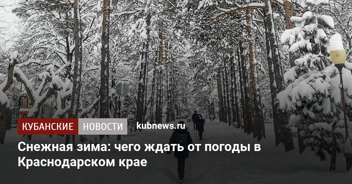 Краснодар погода сейчас фото сегодня