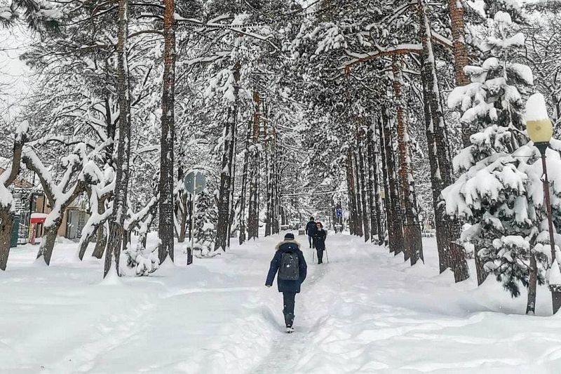 Снежная зима: чего ждать от погоды в Краснодарском крае