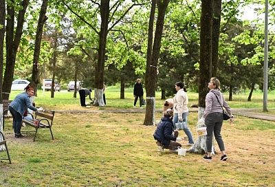 Мэр Краснодара Наумов позвал горожан на субботник