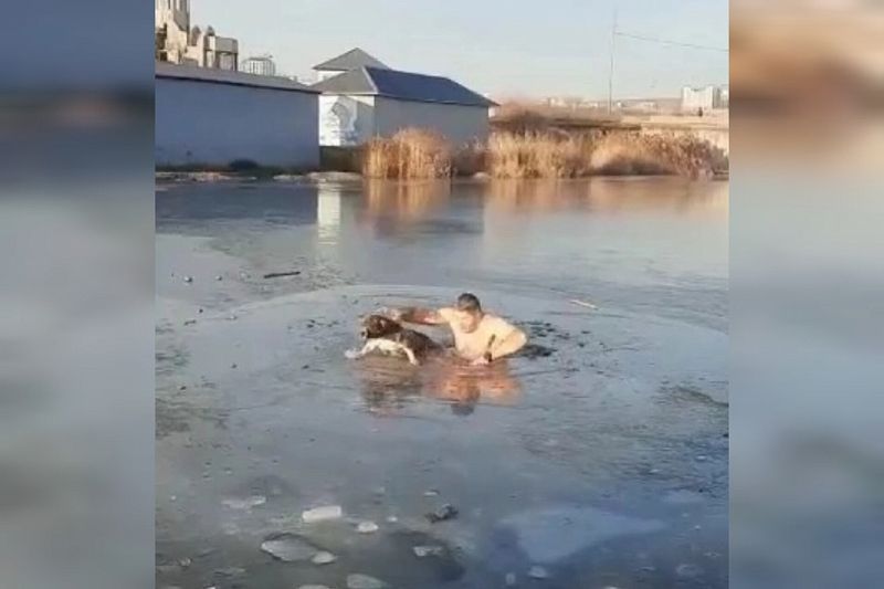 В Новороссийске серебряный чемпион России по самбо спас провалившуюся под лед собаку