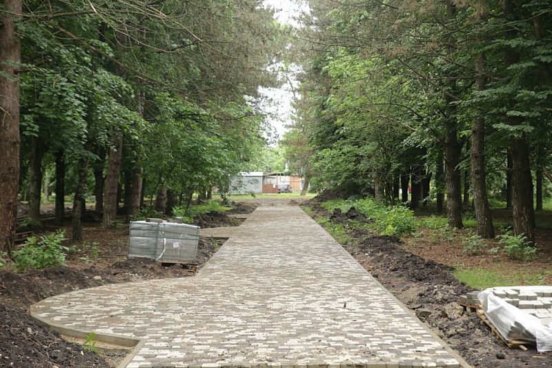 Городской сад «Сосновый» в Краснодаре благоустроят до конца августа