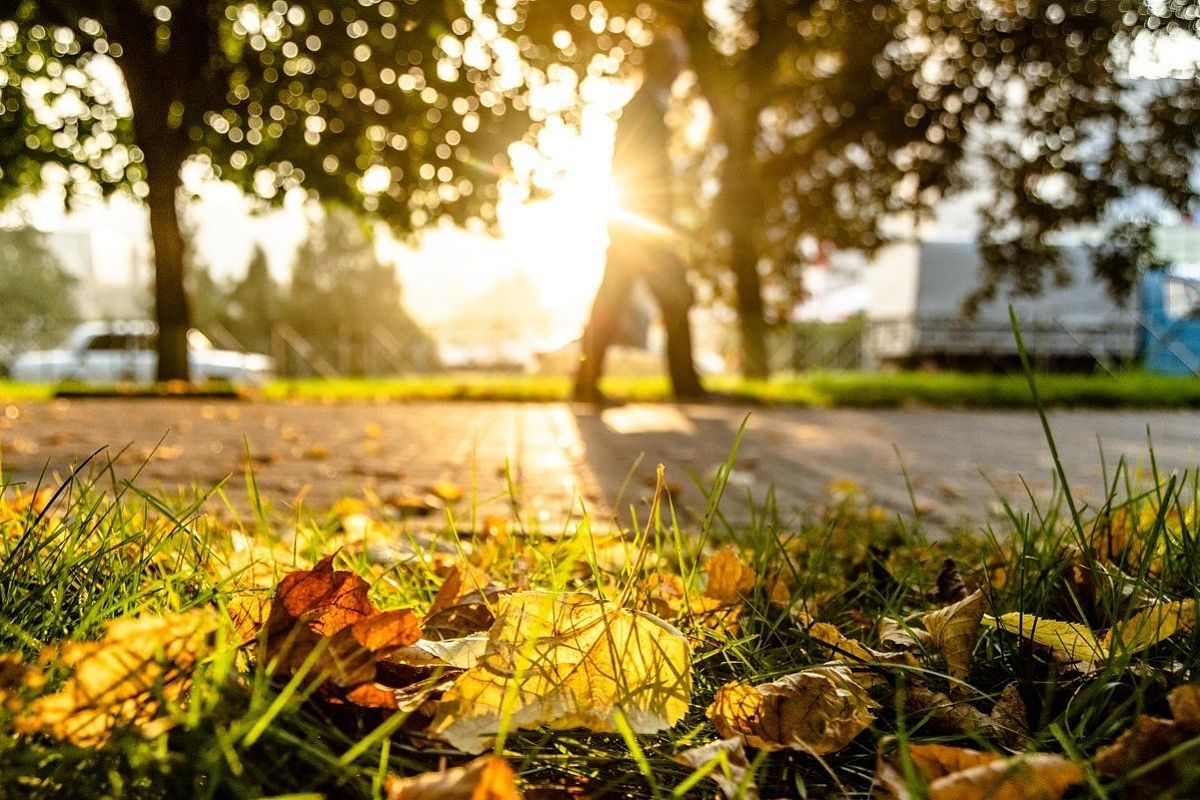 Прогрев продолжается: до +23 градусов покажут термометры в Краснодарском крае
