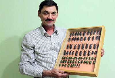 Кубанский энтомолог собрал крупнейшую в России коллекцию жуков