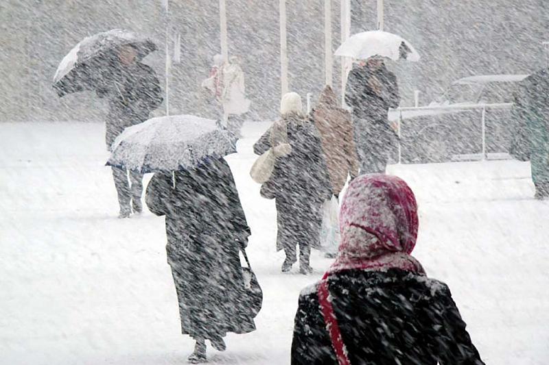 В Краснодарском крае с 28 ноября ожидаются сильные дожди, снег и морозы до -12°С