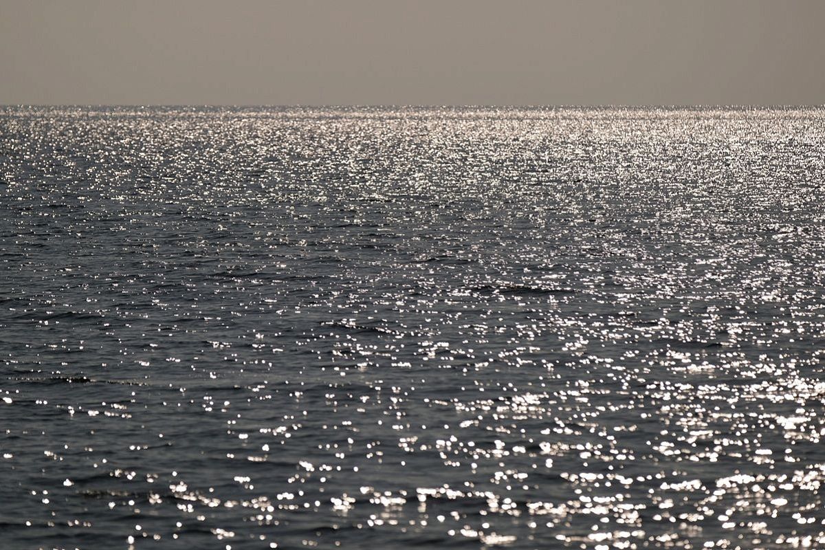 Два катера ВСУ с десантом уничтожены за сутки в акватории Черного моря российскими военными