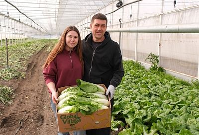 Семейное дело: как кубанские фермеры приумножают аграрное наследие