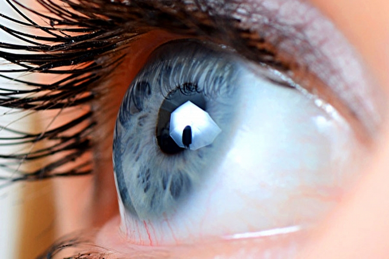 Следите за пальцем: микроскопические движения глаз важны для вашего зрения