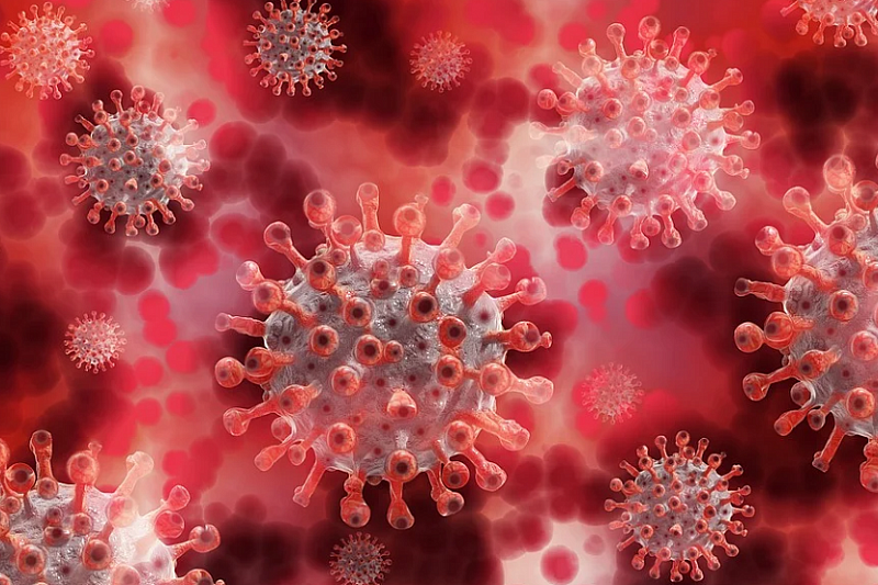 Новый штамм коронавируса c двумя мутациями обнаружен в Великобритании
