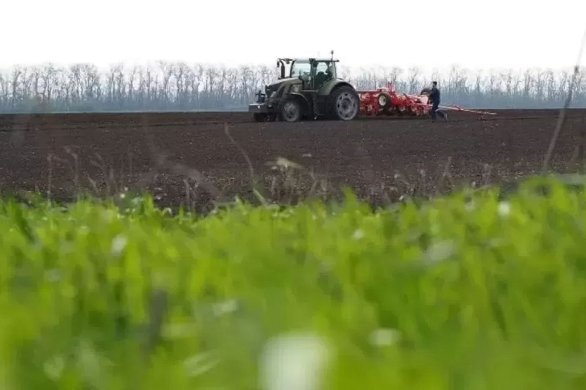 Дожди диктуют свои условия: несмотря на капризы погоды в Краснодарском крае продолжается весенняя посевная кампания