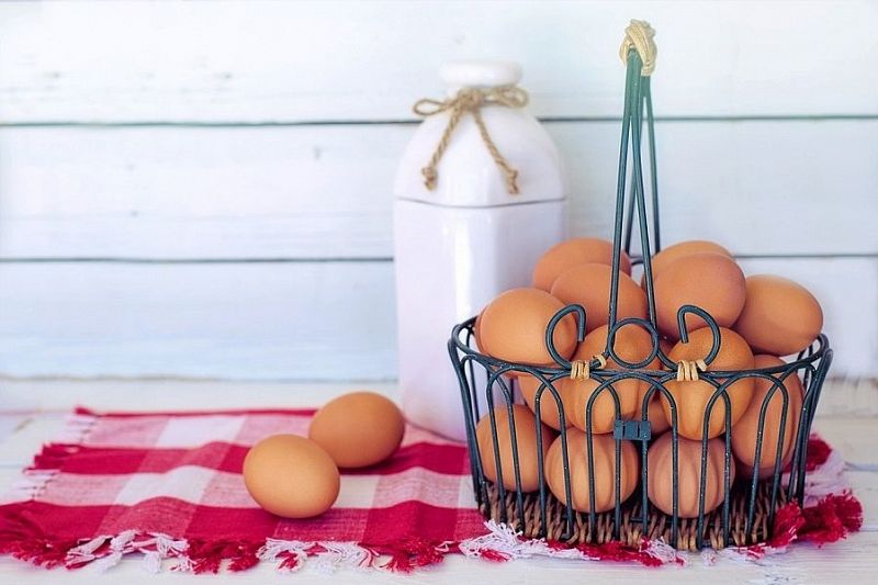 Сварить или пожарить: в каком виде куриные яйца более полезны?