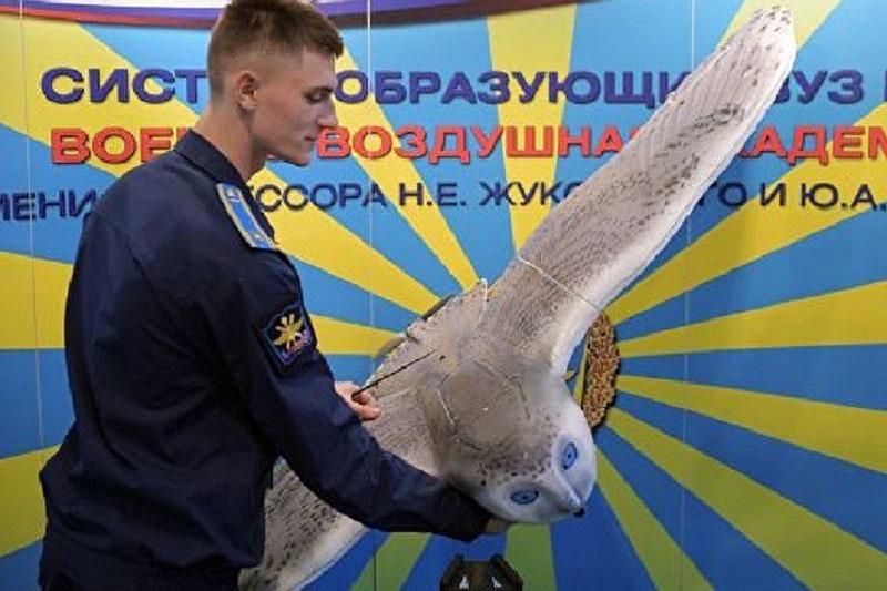 В России создали военный беспилотник в виде полярной совы 