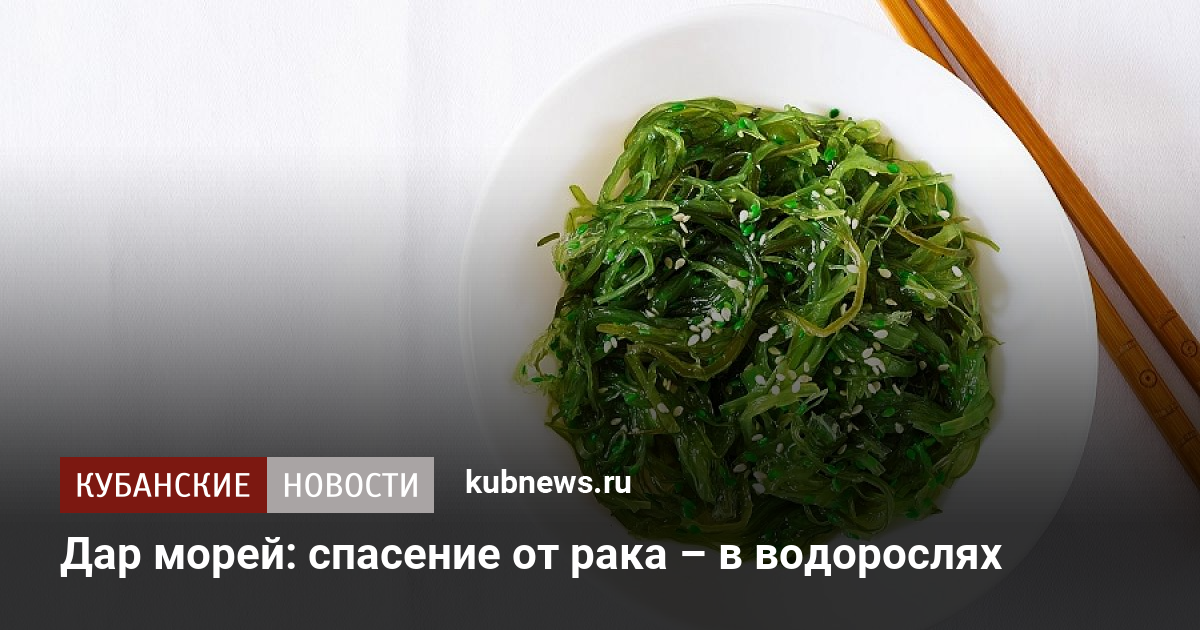 Водоросли польза и вред