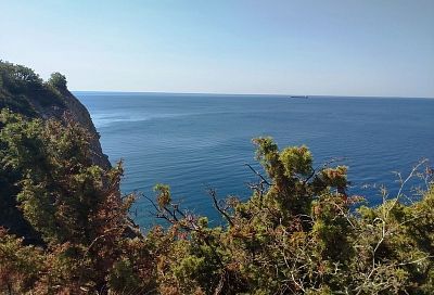 Пять ООПТ регионального значения появятся в Новороссийске в 2026 году