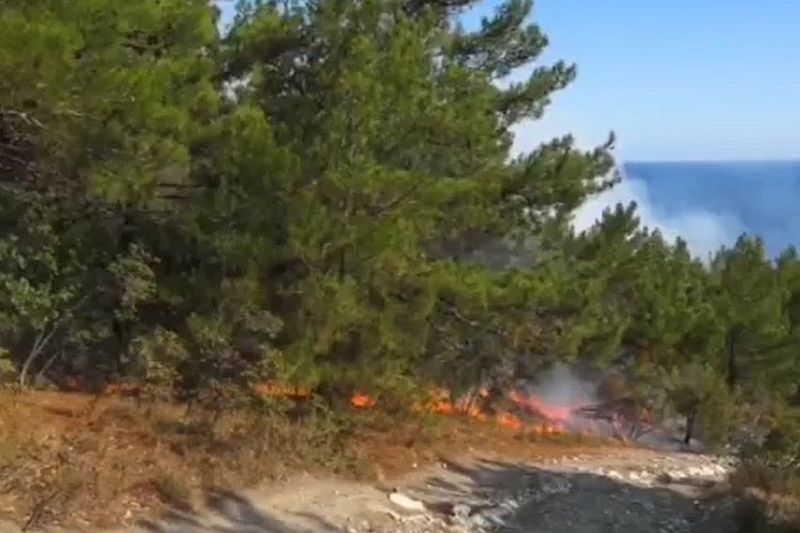 В Геленджике 150 человек тушат лесной пожар  