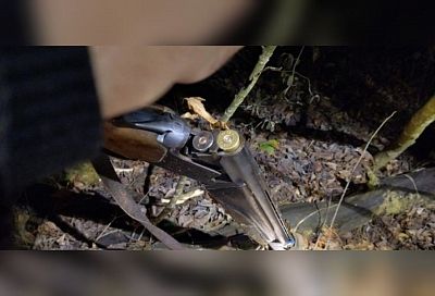 В Краснодарском крае мужчина случайно застрелил знакомого на охоте